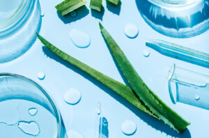 Skin booster como funciona - Aloe vera con gotas de agua y utensilios de laboratorio.