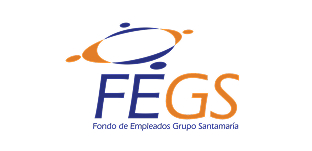 logo-fegs